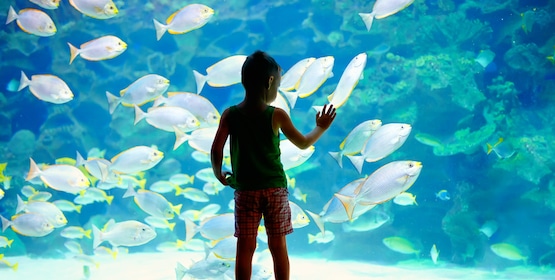 Oporto en familia: actividades para disfrutar con tus hijos